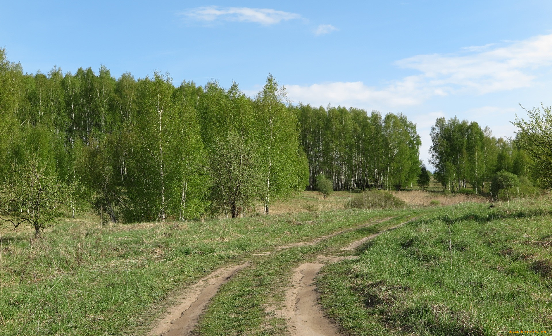 Природа средней полосы летом. Участок ИЖС. Фото средней полосы России. Начало участка средней полосы.